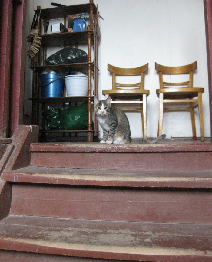 На Соловецкой лестнице 