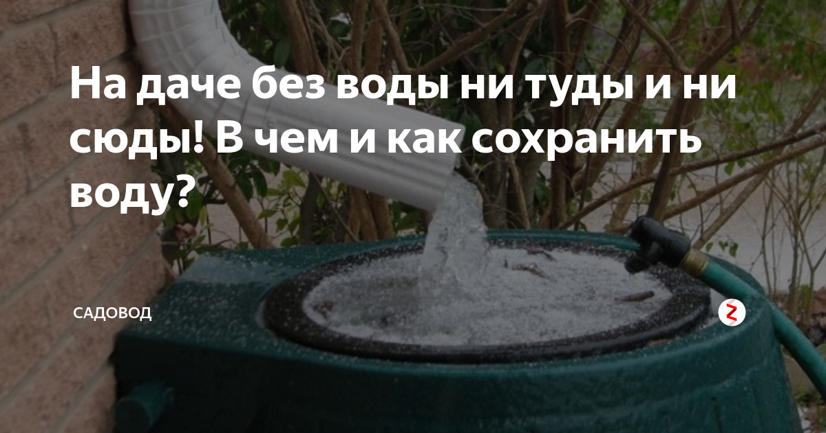 Без воды и не туды и не сюды картинки