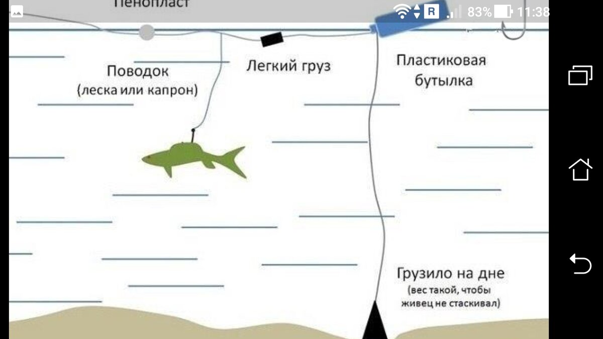 Плавающая жерлица из пластиковой бутылки. Летняя жерлица на хищника - 2 ...