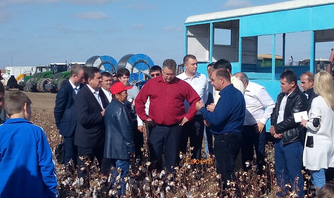 Погода в архангельском буденновского ставропольского края