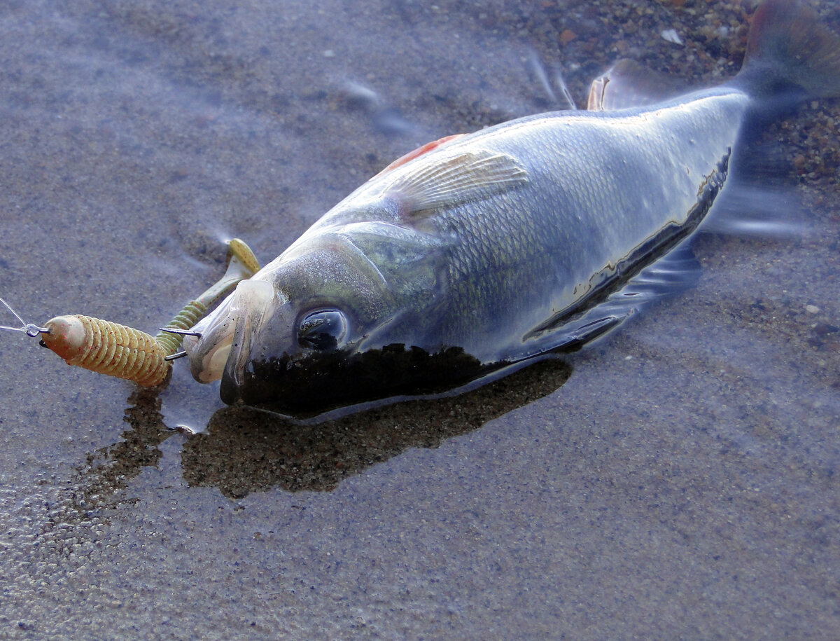 3,5 дюймовый Swing Impact