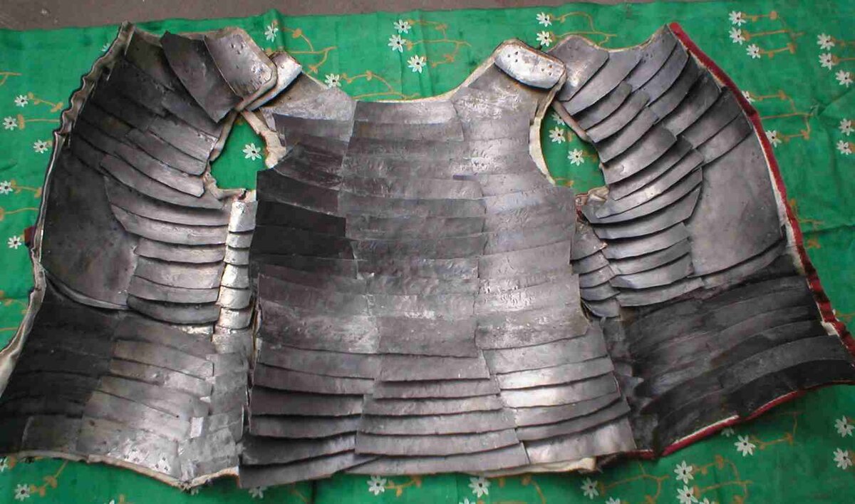 Мелкопластинчатая бригантина, вид изнутри