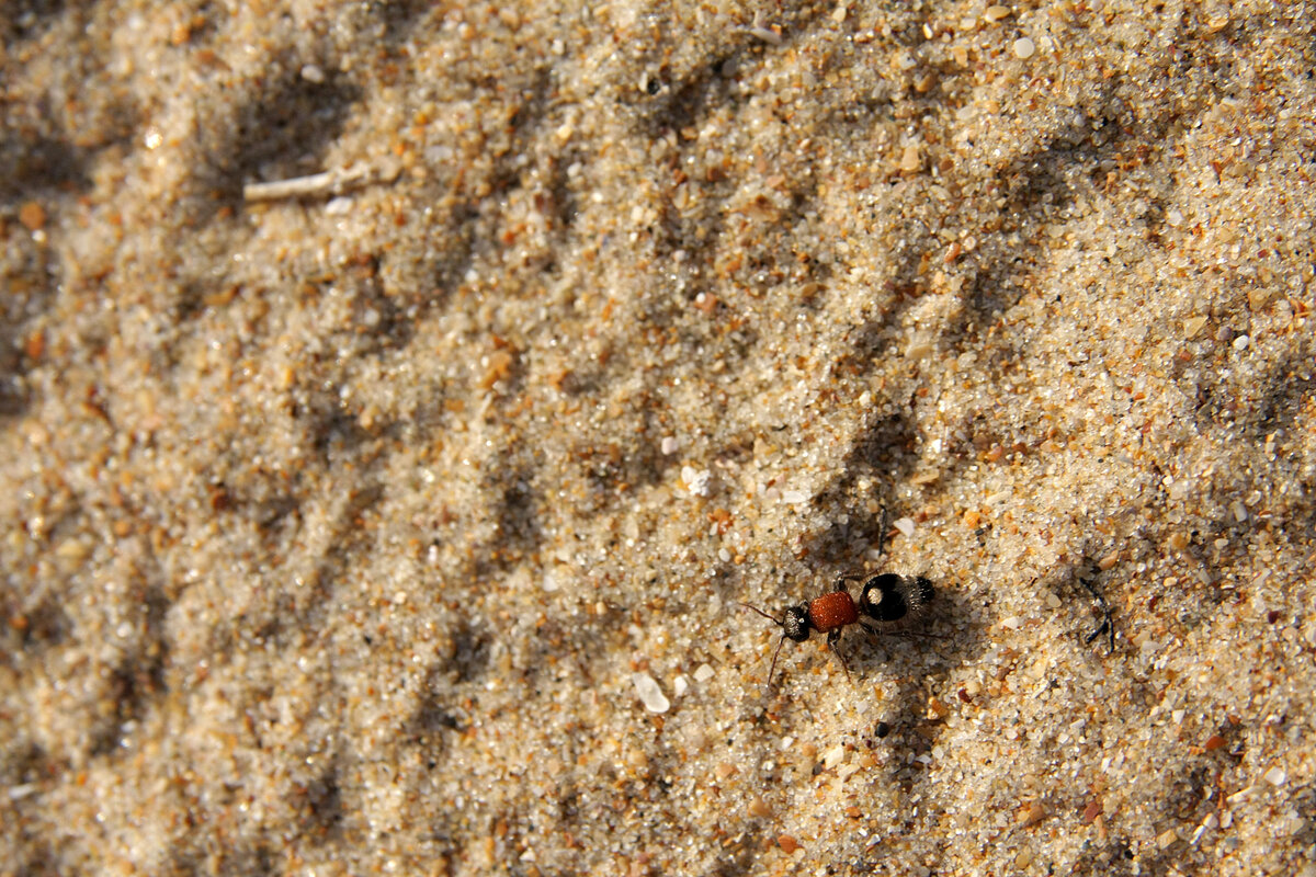 Снято в Темрюкском районе