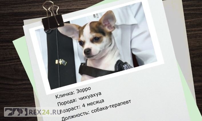 Фото: скриншот видео WTVG