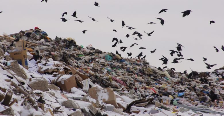 Полигон преображенка самара. Полигон тбо преображенка. Валдай полигон тбо. Мусорные полигоны подмосковья. Полигон преображенка.