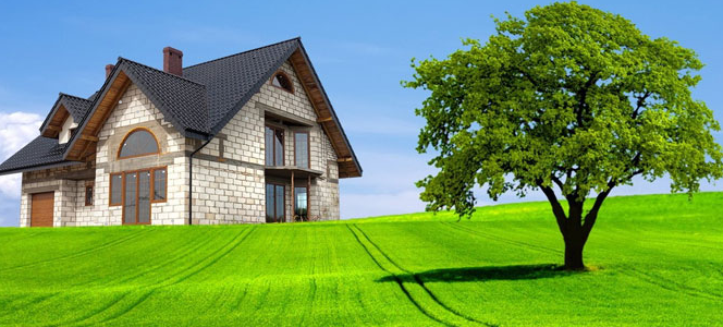 Похоже на участок Путина?)