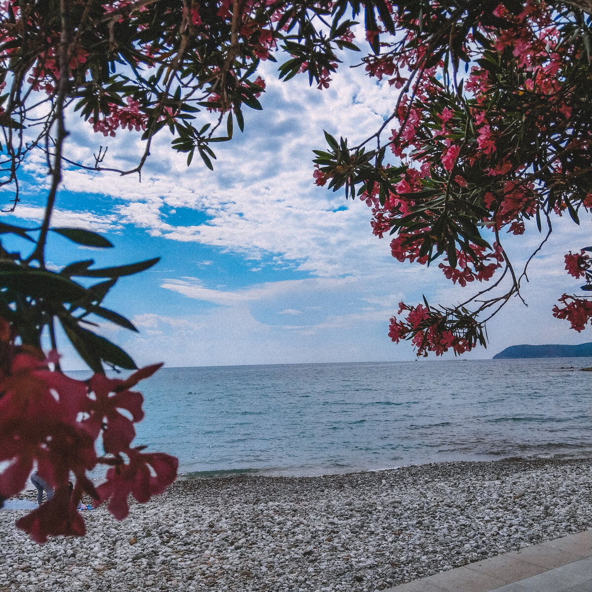 Турецкий берег