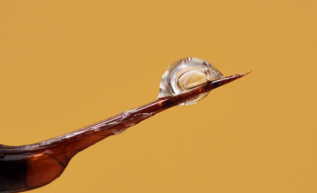 Пчелиное жало в увеличении