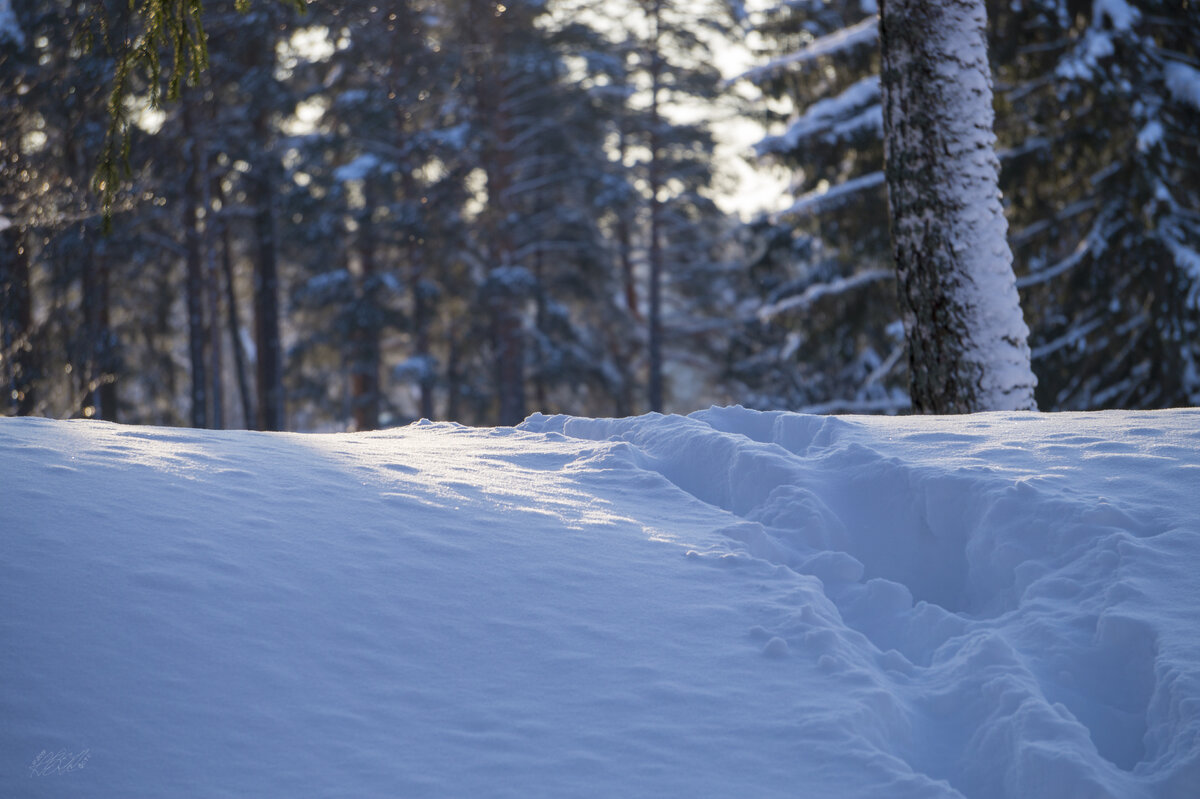 Немного чистого снега в ленту!)