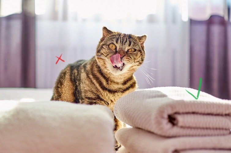 Источник: https://unsplash.com/