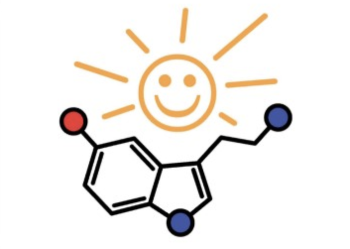 C10H12N2O - Serotonin formula
