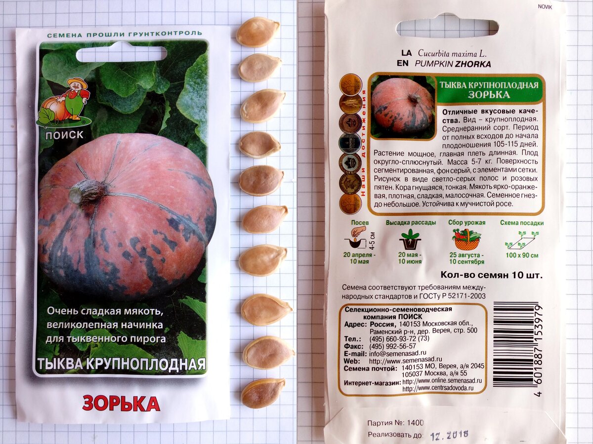 Пакетик и семена тыквы Зорька от Поиска. 