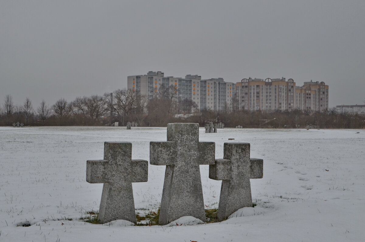 Панковка: Немецкое кладбище под Великим Новгородом | Путешествия по городам  и весям | Дзен