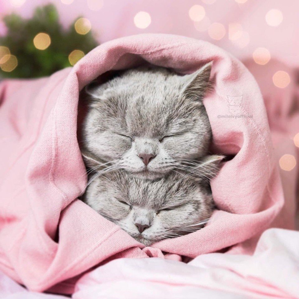 Автор фото неизвестен. источник: интернет 