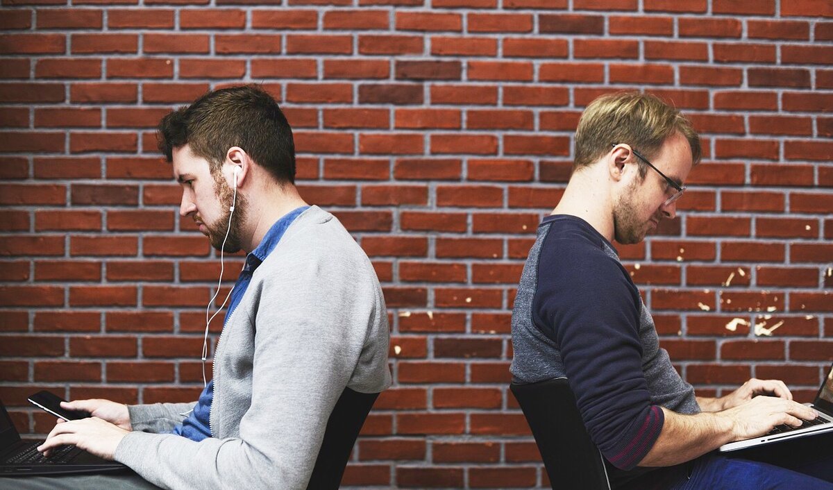 Изображение с сайта https://pixabay.com