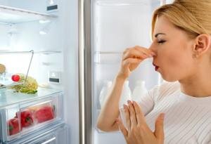 После того, как испорченный продукт удален из холодильника, нужно отключить его от розетки, промыть полки и прочие поверхности. Очень важно провести обработку верхних полок и задней стенки.