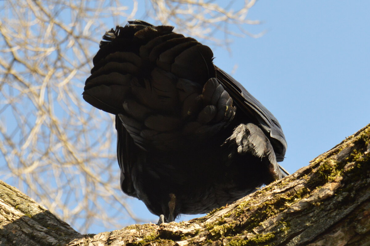Да, она хороша во всех ракурсах!