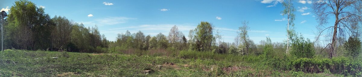 Запланированное место для строительства вольеров.