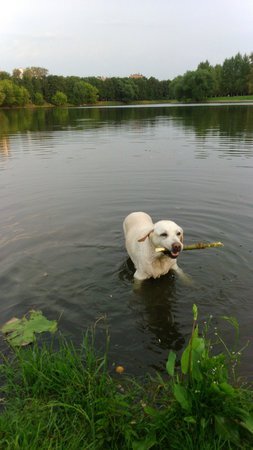 Злате 14 лет.  На Измайловском острове в Москве. За год до Рая... Фото автора