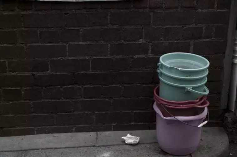 
2. Если вы ищите натуральные репелленты, то наилучшим вариантом будет лимонный эвкалипт, вернее, масло с его экстрактом. Согласно исследованиям, этот природный репеллент очень эффективен в отношении москитов.