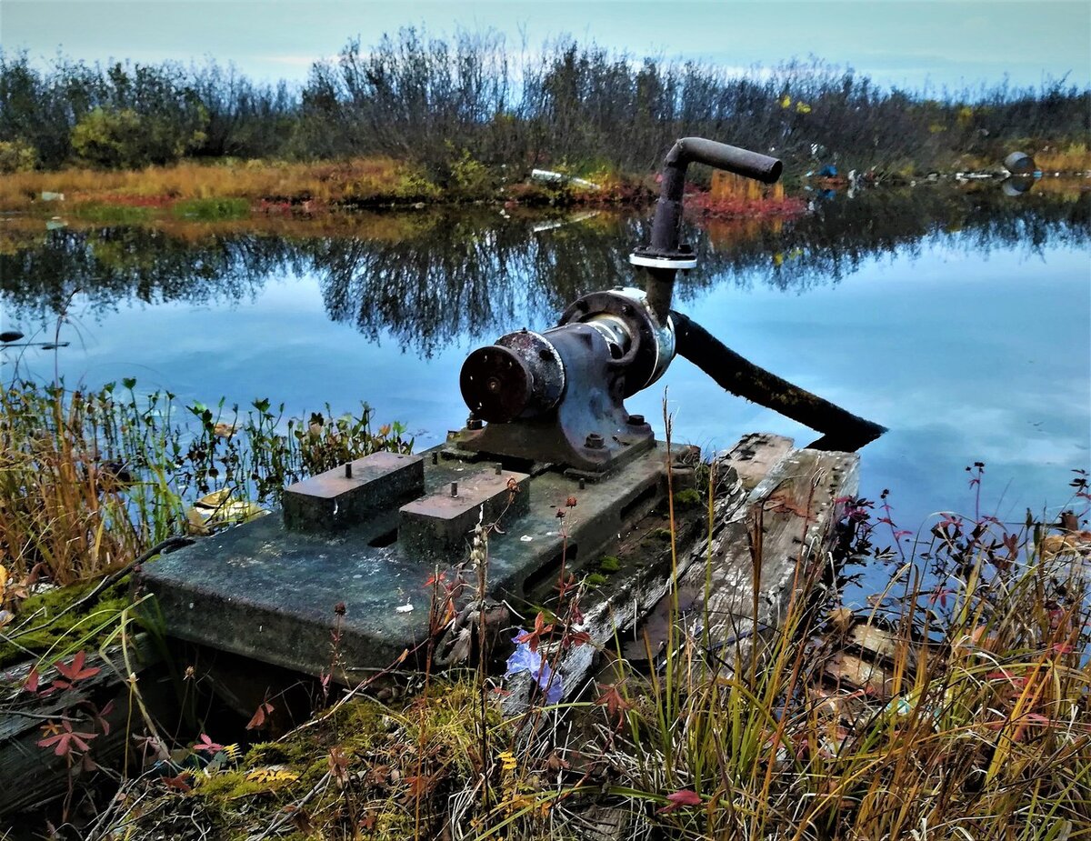 И в лёд закованный Таймыр. | Дневник путешественника | Дзен