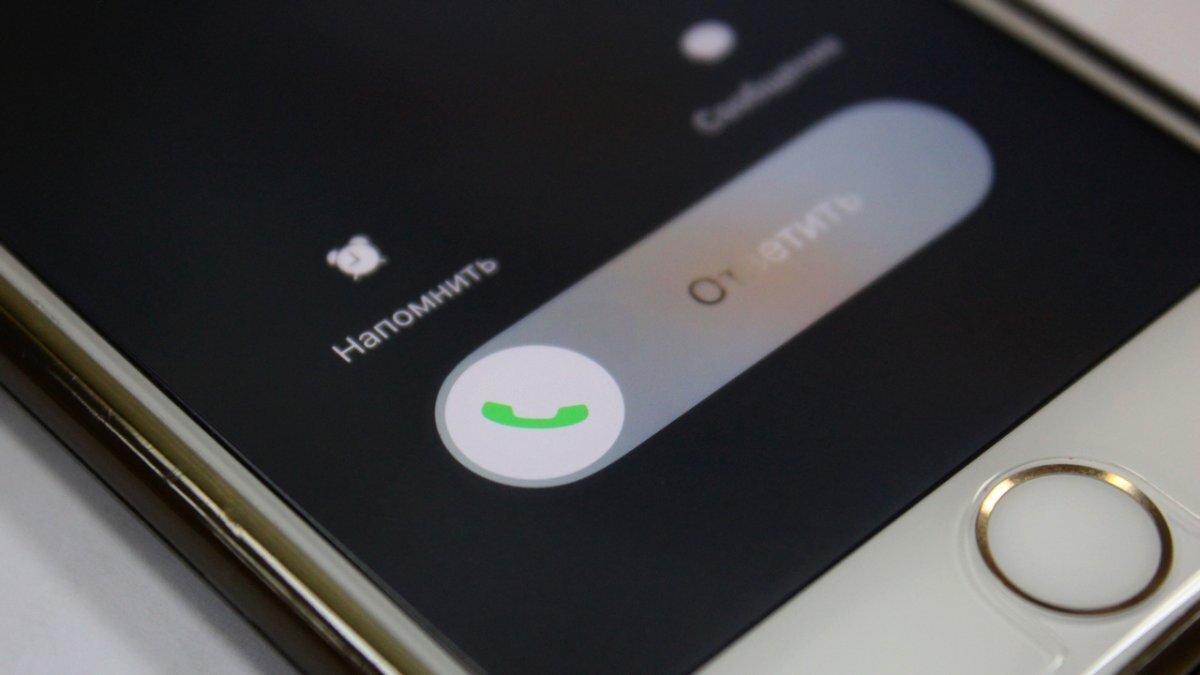 Любопытство сильнее нас?