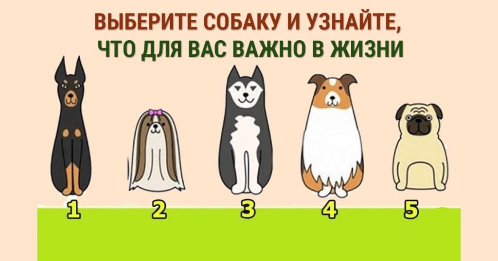 Для того чтобы вы прошли тестирование, вам потребуется соблюсти несколько правил: