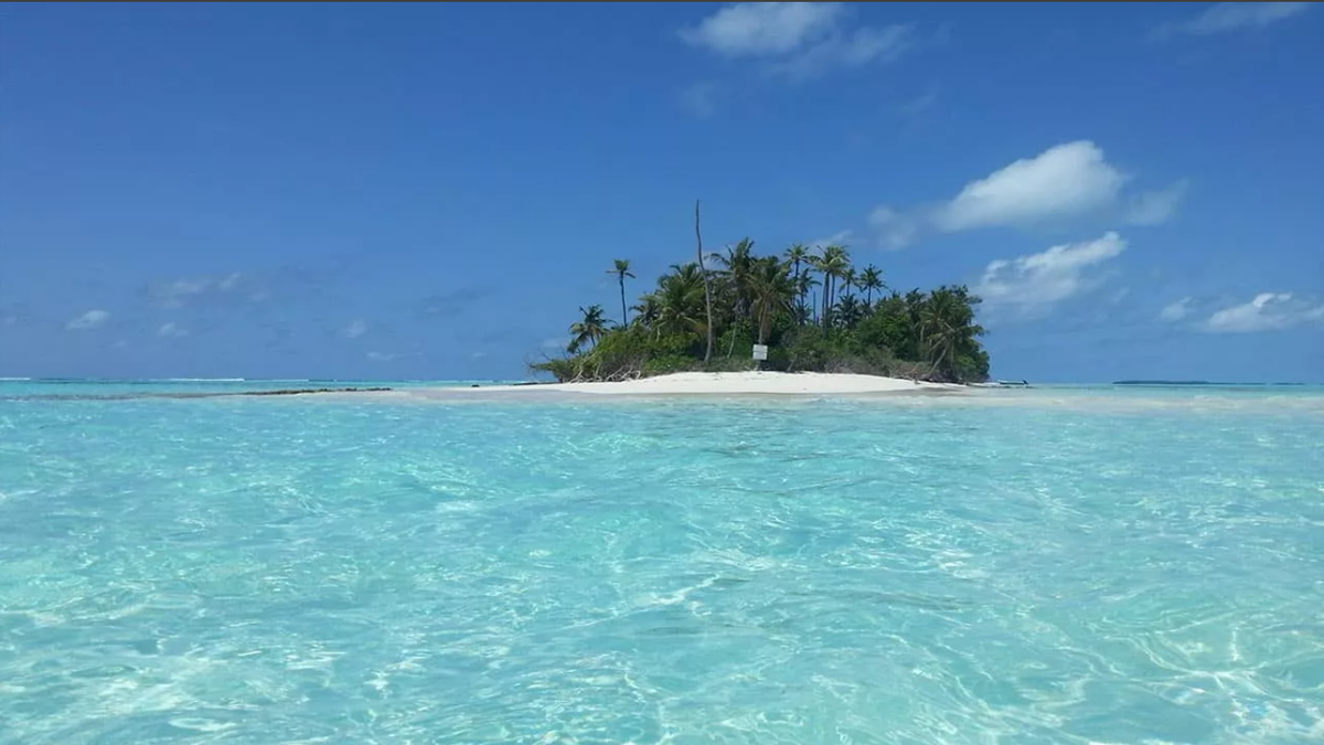 Яндекс коллекция