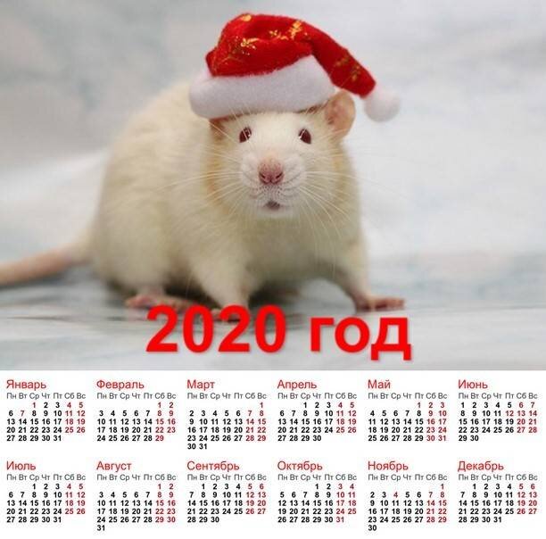 Календари года крысы. Календарь 2020г. Календарь на 2020 год. Год крысы календарь. Календарь с крысами.