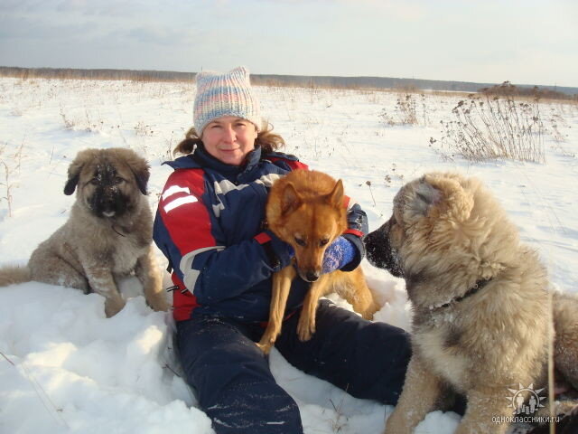 На переднем плане, с купированными ушами, брат Марго - Рональд