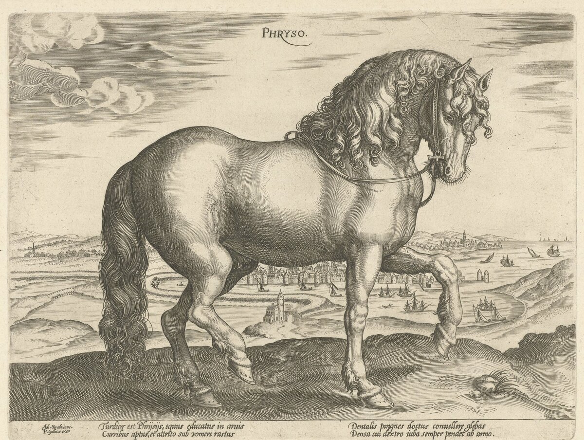 Лошадь фризской породы (гравюра 1568 г.).