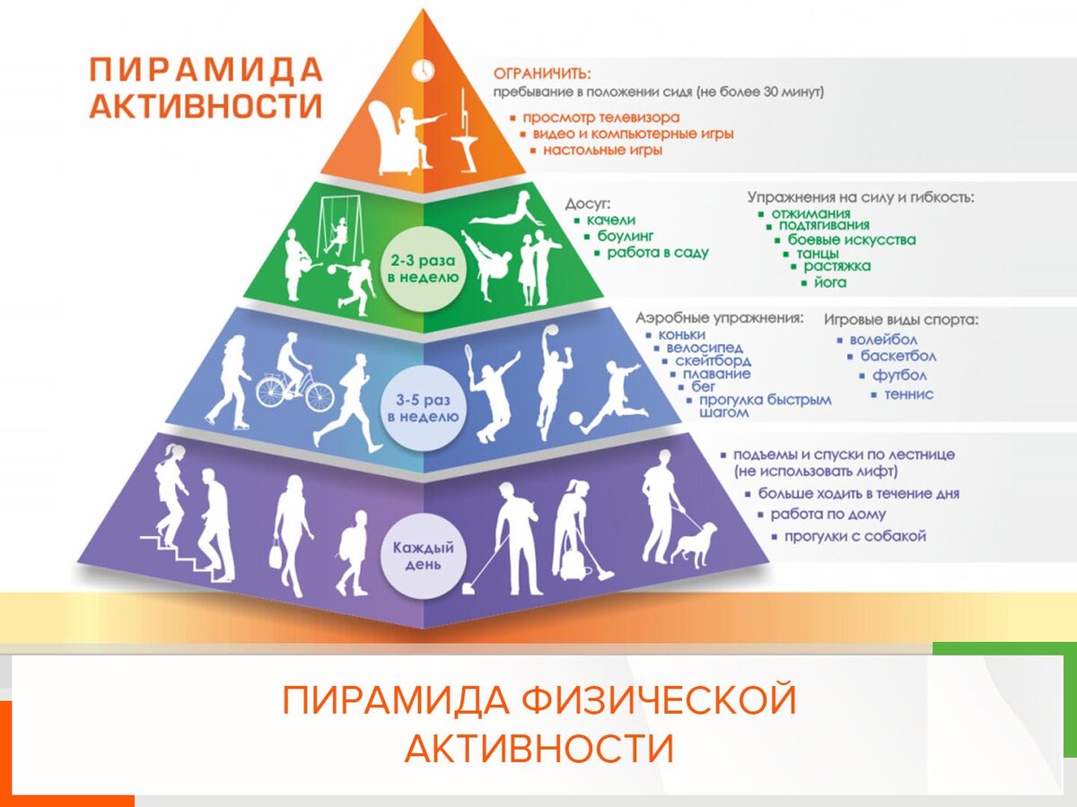 Пирамида физической активности | Диетолог Ольга Шестакова | Дзен