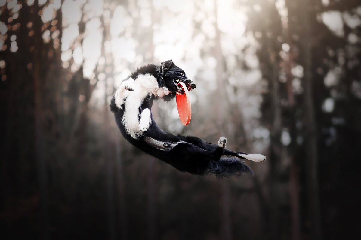 Фото: goodfon.ru