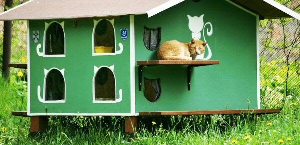 Улица кошкиных домов в Риге. Здесь даже дома пронумерованы.