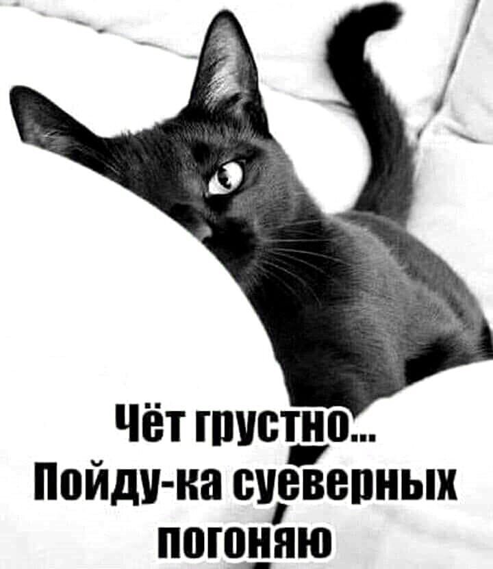 Изображение из интернета.