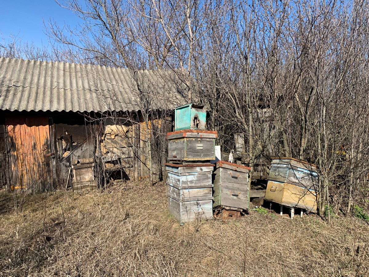 Дом в деревне, который я купил за 50 тысяч рублей. Что с ним стало за зиму без присмотра