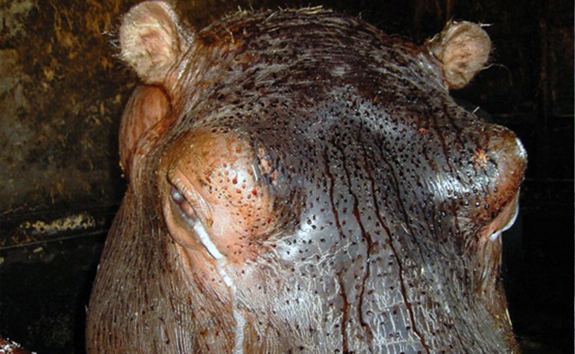 ДА ЧЕ ТА МЕНЯ СНИМАЕШЬ???????