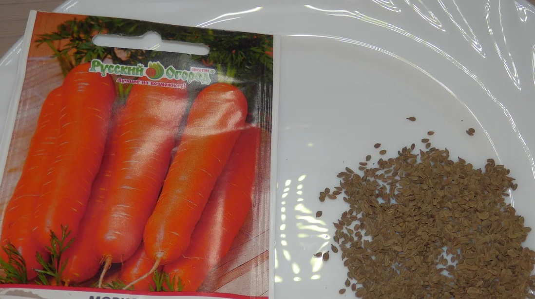 Четыре способа получить ранние всходы моркови