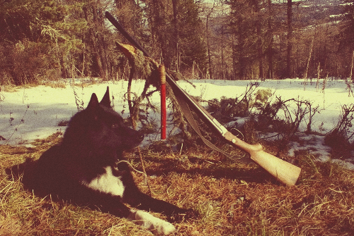 Люк на отдыхе...