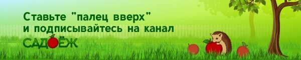 3 варианта необычных перчаток для сада и огорода, которые здорово помогут на грядках