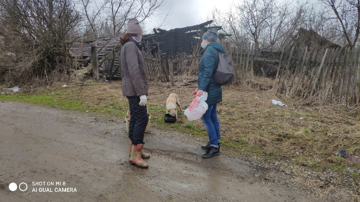 Первая встреча с голодной и грозной мамой четырех щенков