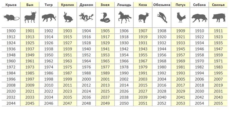 1996 год животного. 2022 Год какого животногоэ. Китайский гороскоп животные. 2022 Год кого животного будет. Годы животных.