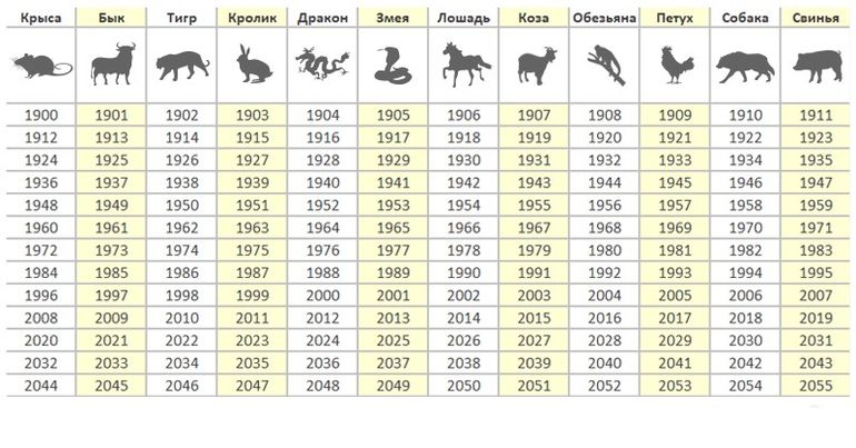 Русский календарь животных 2024. 2022 Год по китайскому гороскопу. Чей год 2022. 2022 Год кого. Годы животных