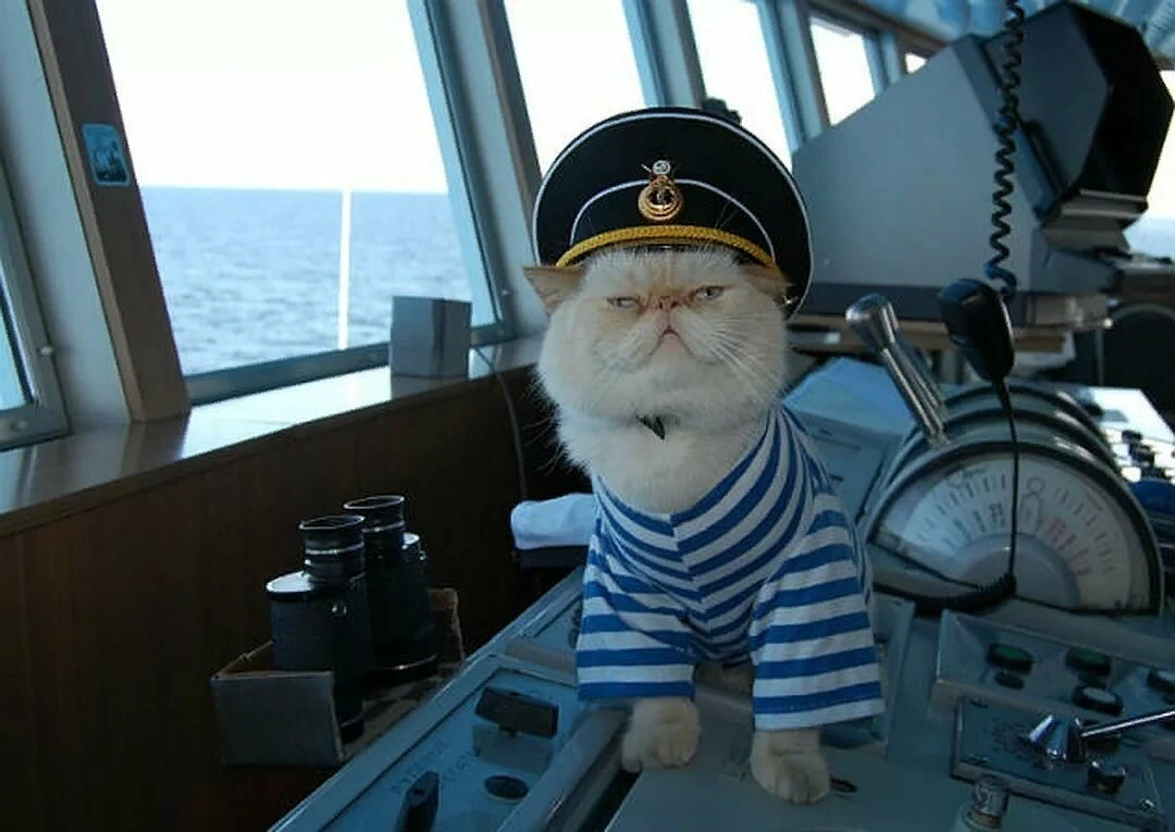 Всем капитанам голова! ))