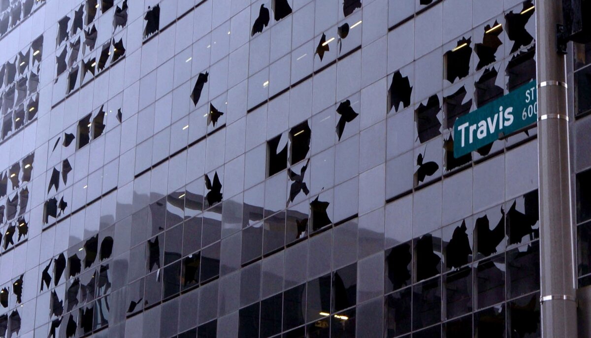 фото с ресурса яндекс/картинки