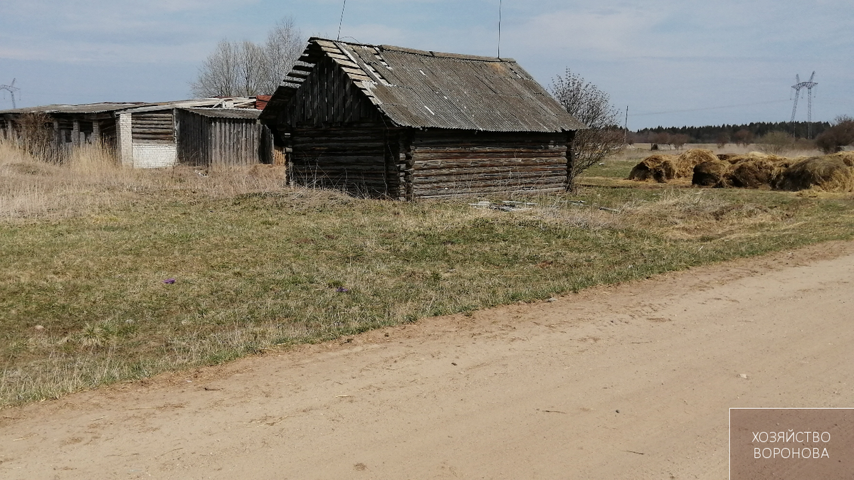 Сарай и коровник