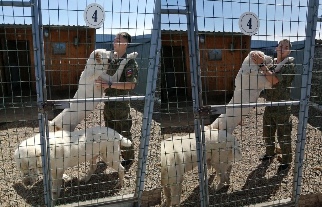 ТРАССА УФА - БЕЛОРЕЦК, ОЗЕРО БАННОЕ И ПИТОМНИК С БОЛЬШИМИ СОБАКАМИ 