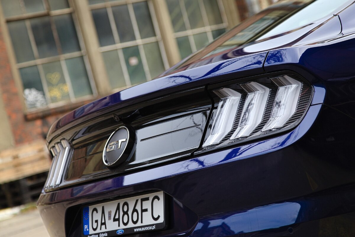 Эту спинку невозможно спутать ни с какой другой. 
фото: Михал Елионек / Trojmiasto.pl

