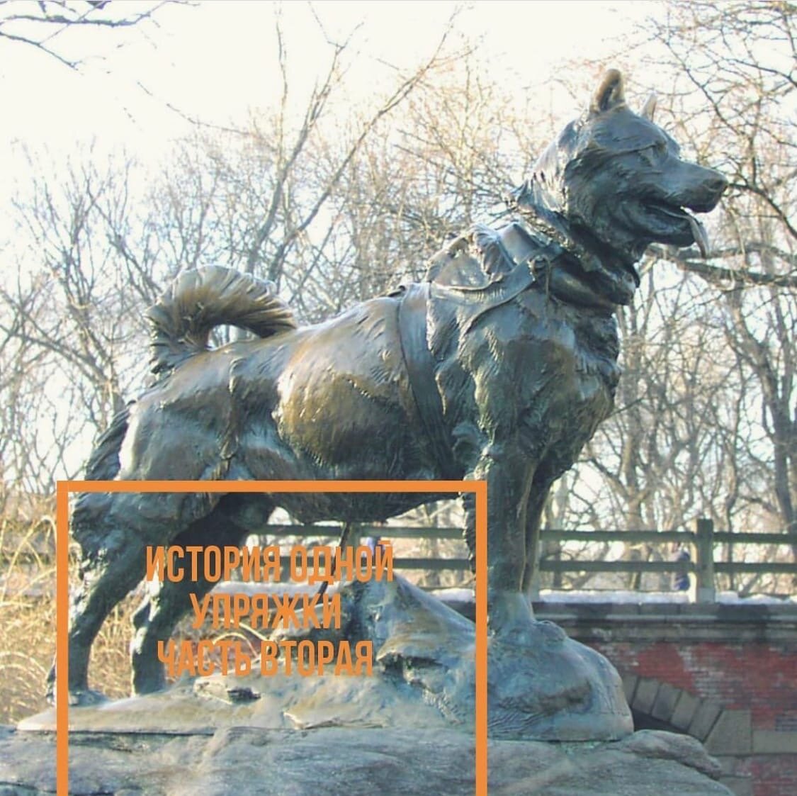 Памятник псу Балто в Нью-Йорке