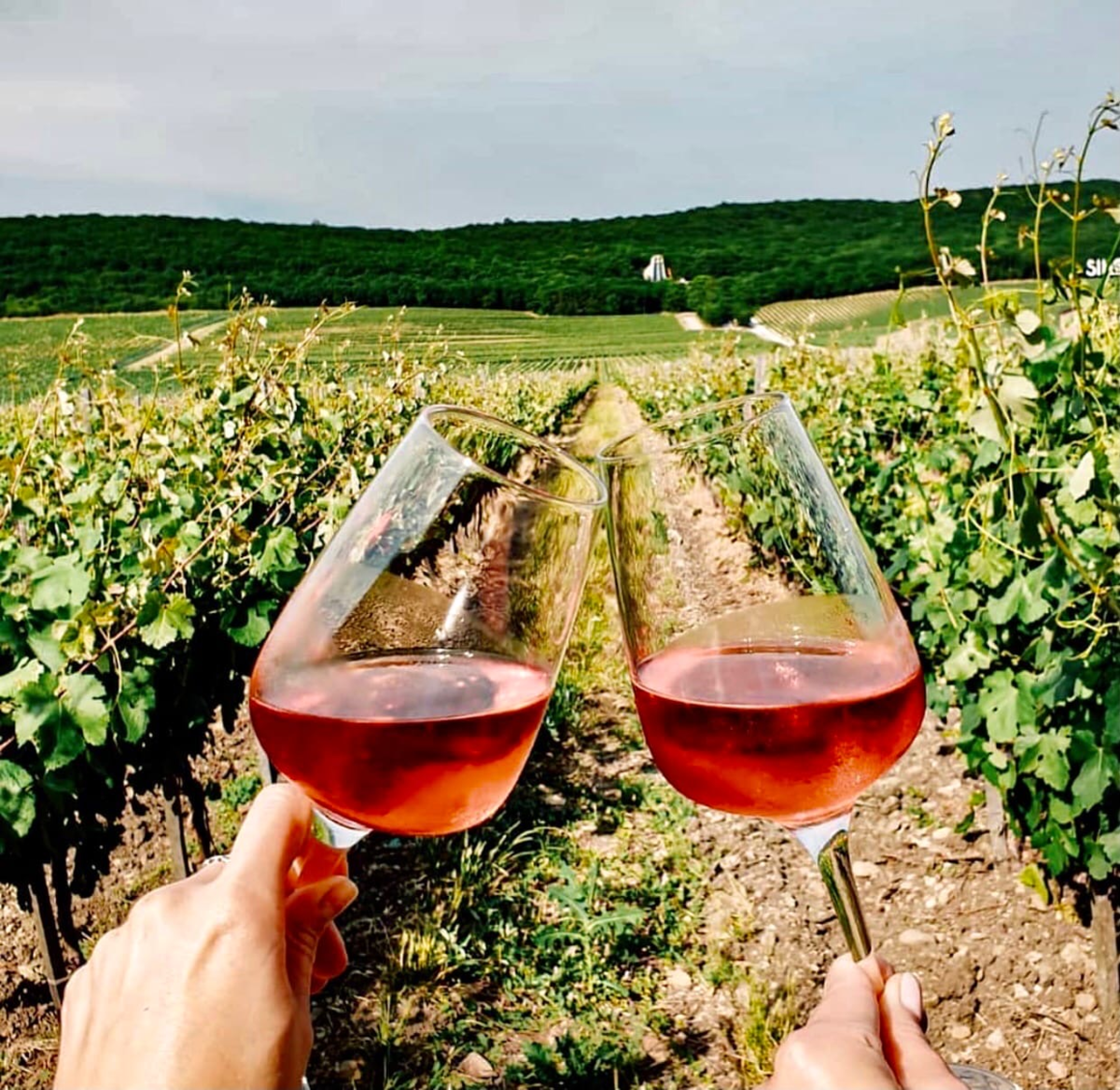 Источник: @culturadrink